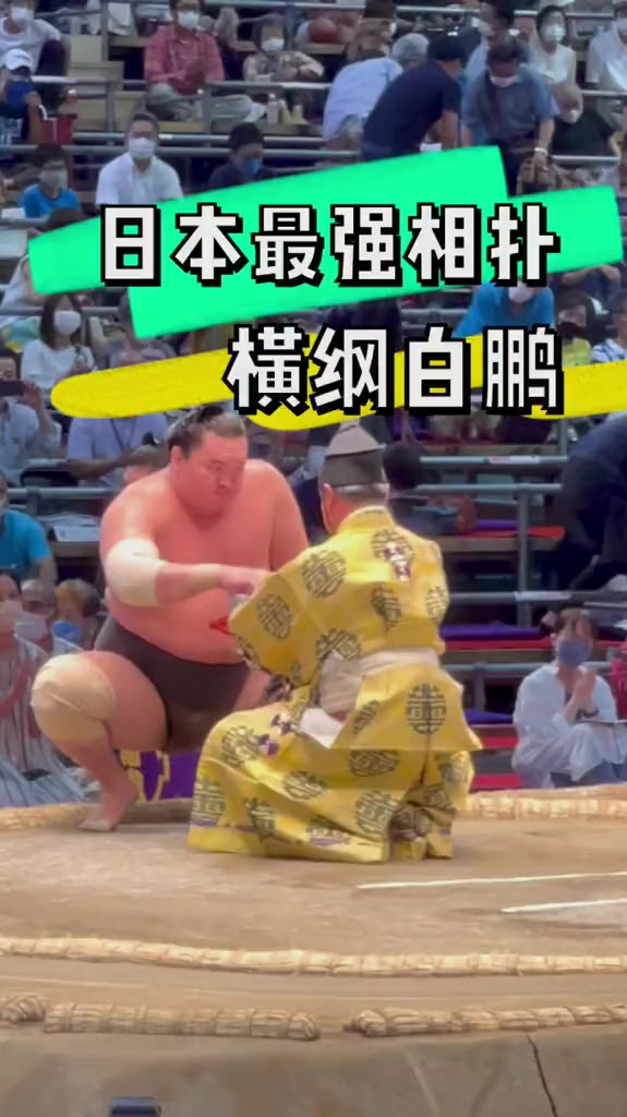 日本最强相扑横纲白鹏日本相扑