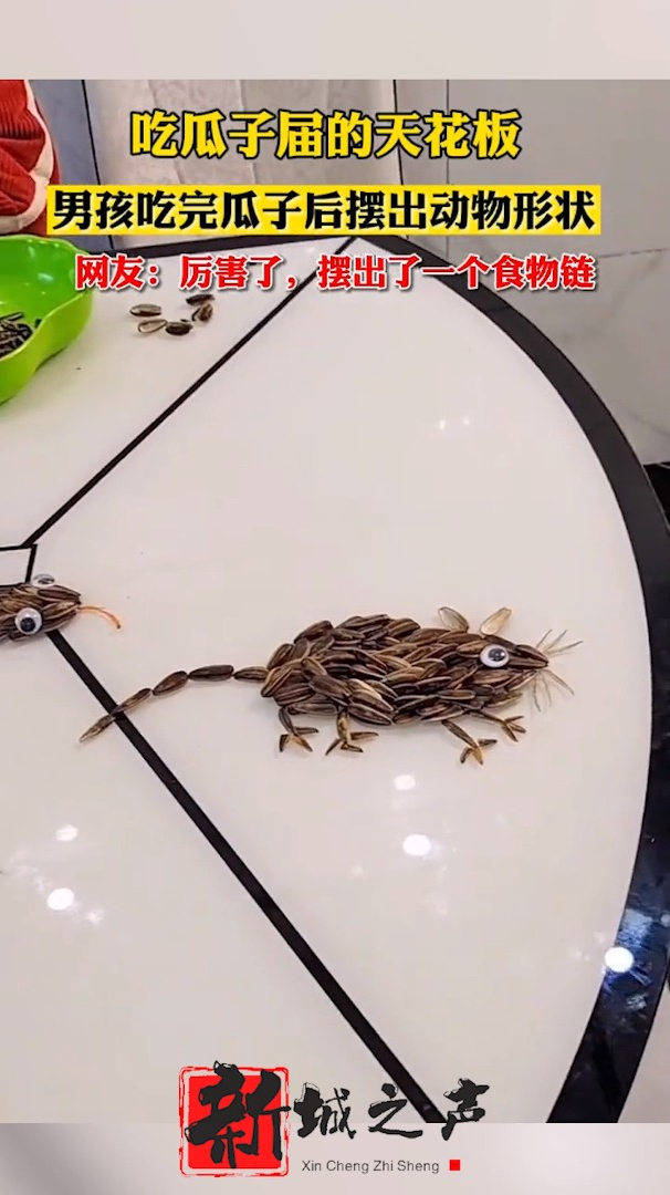 吃瓜子届的天花板男孩吃完瓜子后摆出动物形状