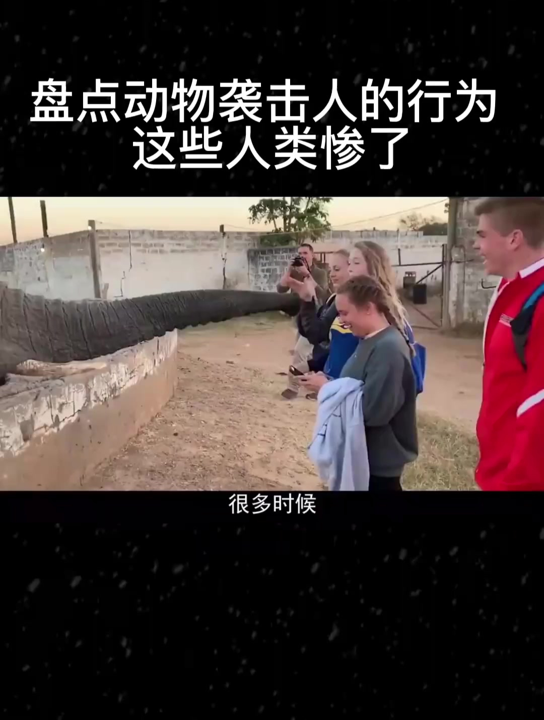 动物袭击人类事件图片