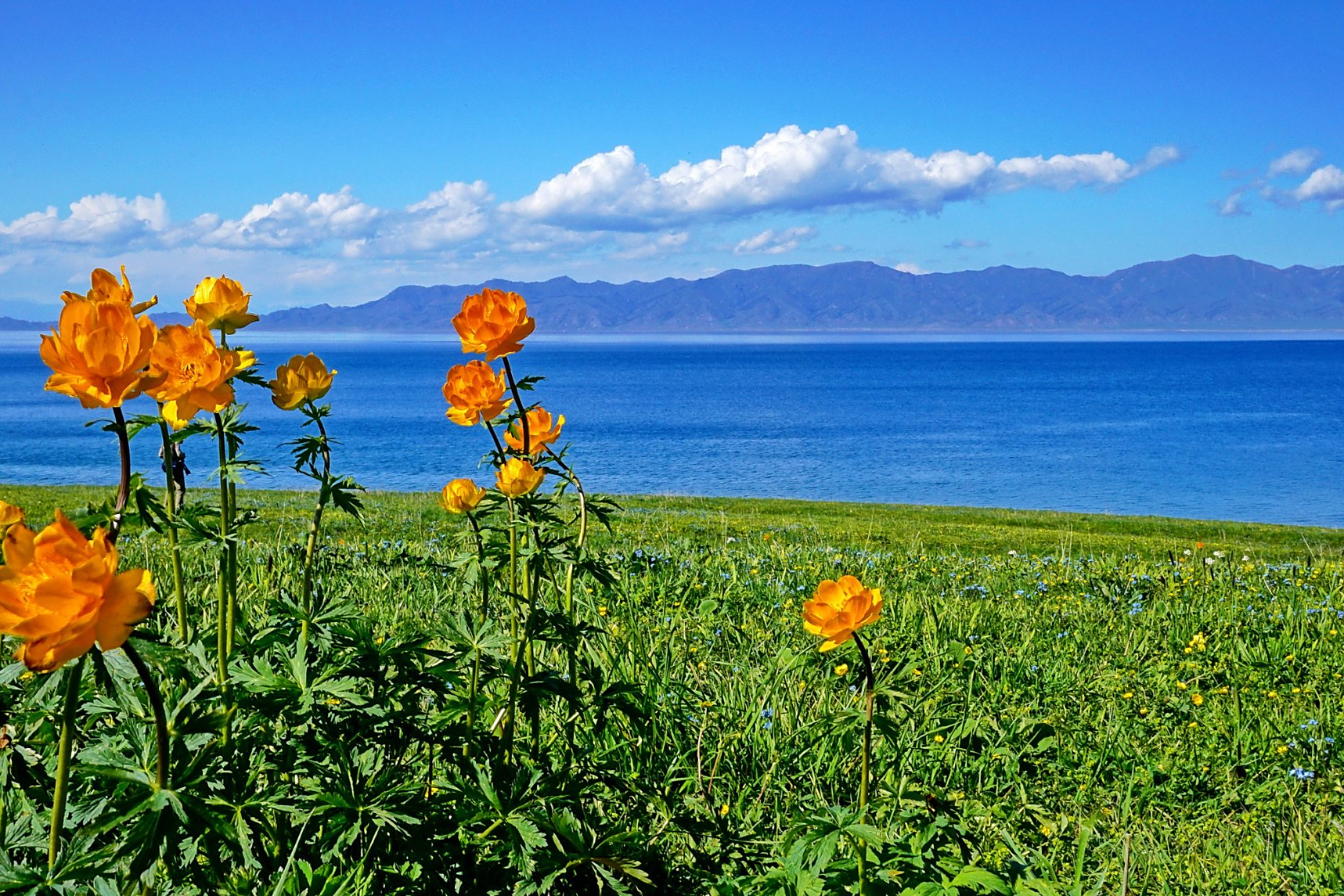 赛里木湖,大西洋最后一滴眼泪,湖水清澈透底