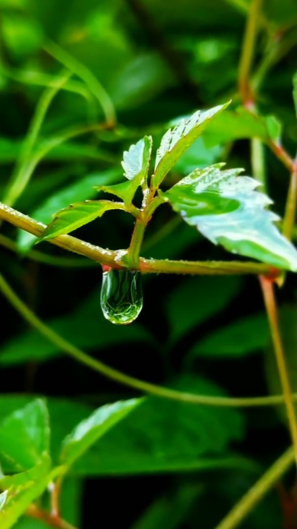 雨后风景最美图片