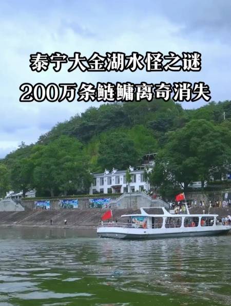 大金湖水怪之谜,200万条鱼离奇消失-度小视