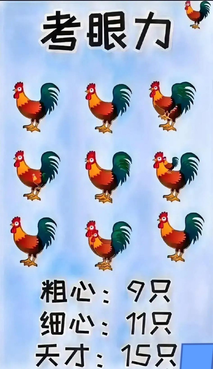 公鸡代表一个什么数字