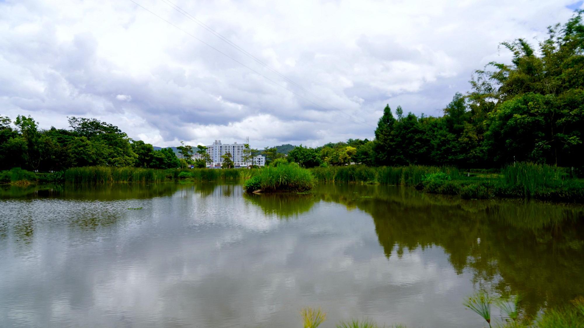云南普洱洗马河湿地公园