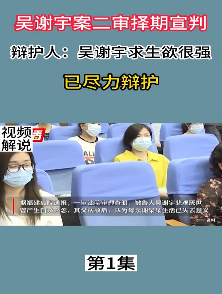 吴谢宇案二审择期宣判,辩护人:吴谢宇求生欲很强,已尽力辩护1