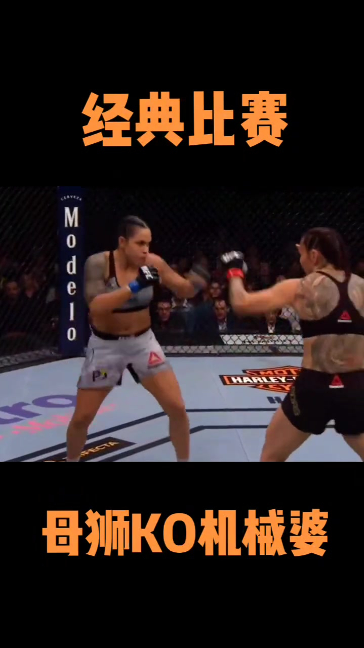 7母狮和机械婆疯狂拼拳,战胜机械婆,谁能打败母狮