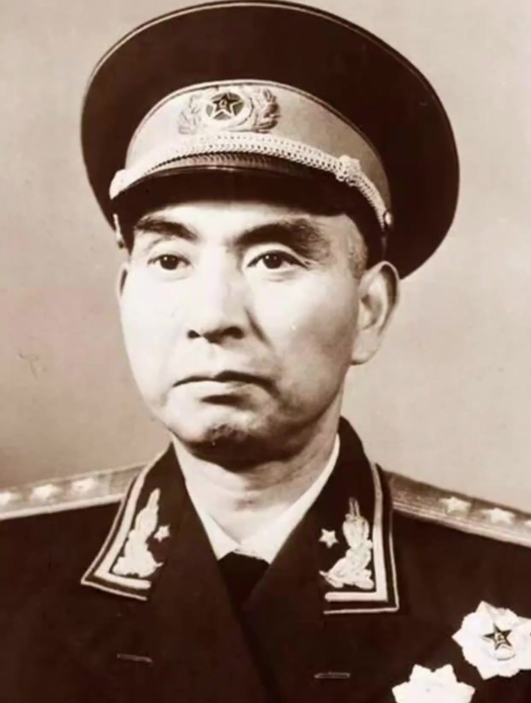 1972年,杨勇将军,前往沈阳军区担任副司令