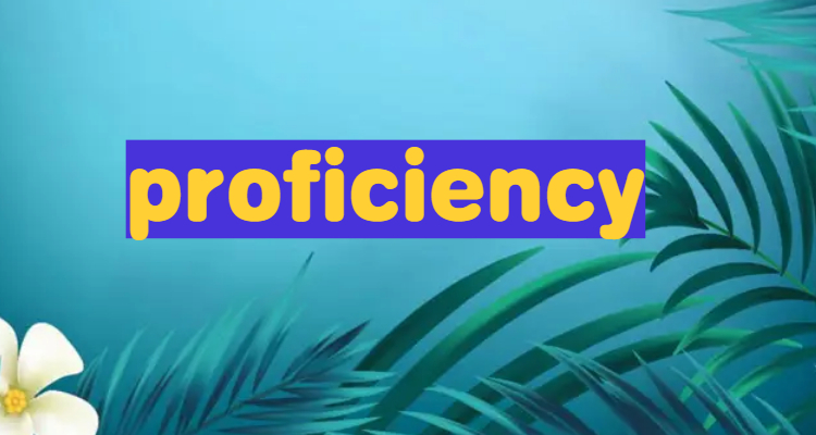 proficient的名词是什么