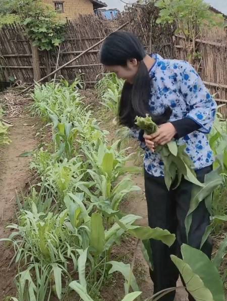 2022-07-270农村小翠花大号270粉丝  关注「小学生把栓q写进作文 老师