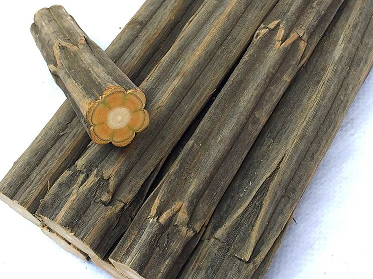 6条棱的树,外形像枯木,殊不知外号"降龙",乃是"木中黄金"