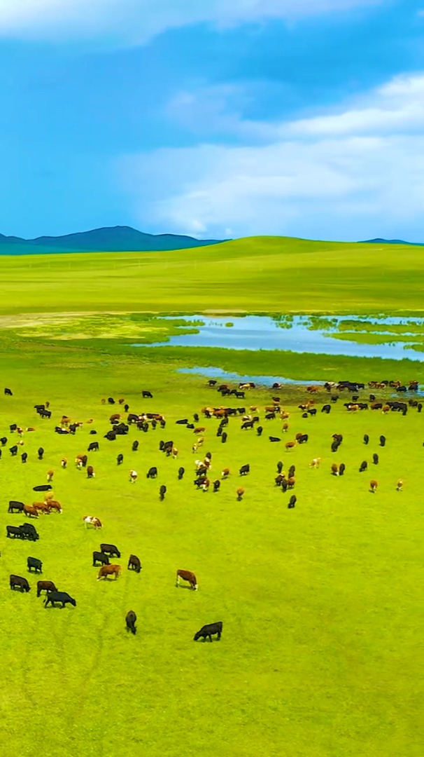 风景娱乐治愈:令人向往的锡林郭勒大草原,草原深处