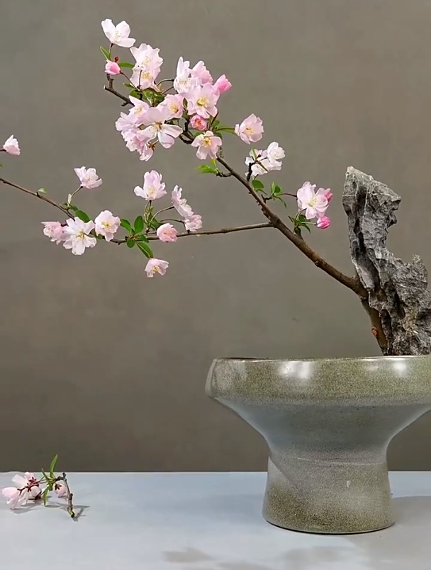 东方插花,春到海棠花几信