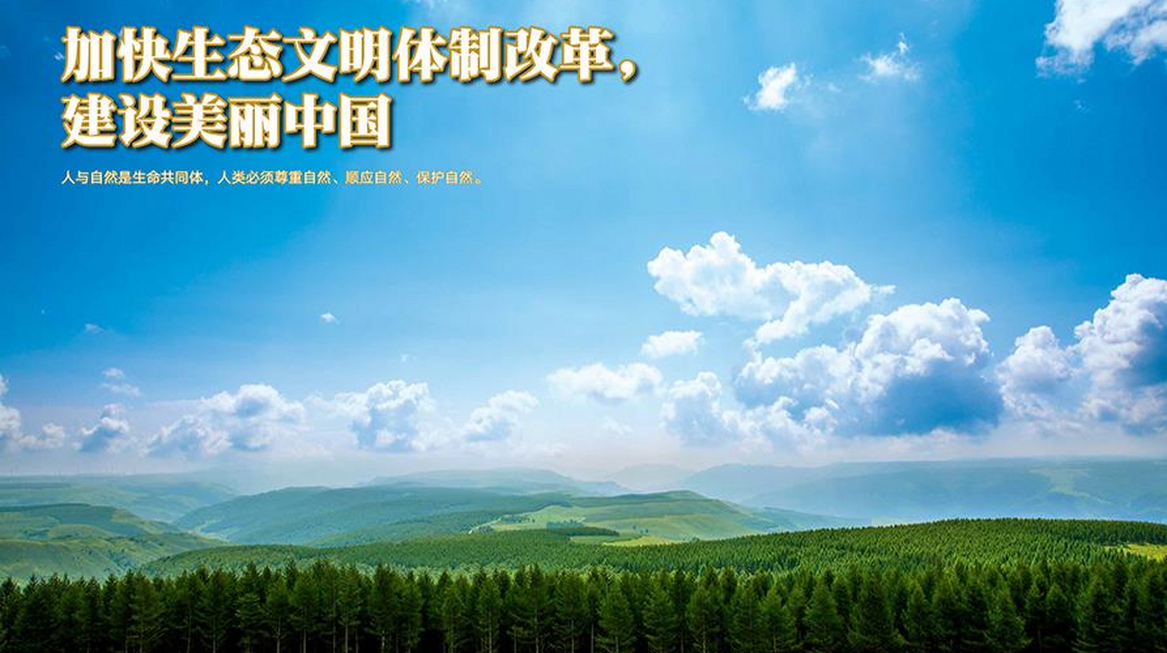 全面推进美丽中国建设