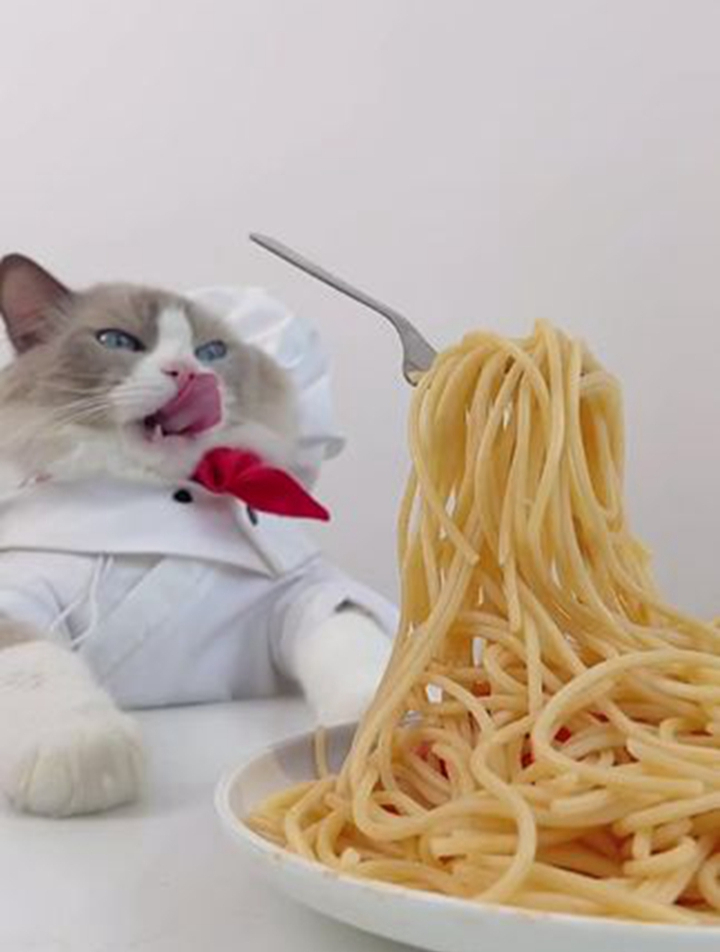 "羊把自己放进冰箱呆上一天没人阻挡" 是夏天的味道呀-度小视