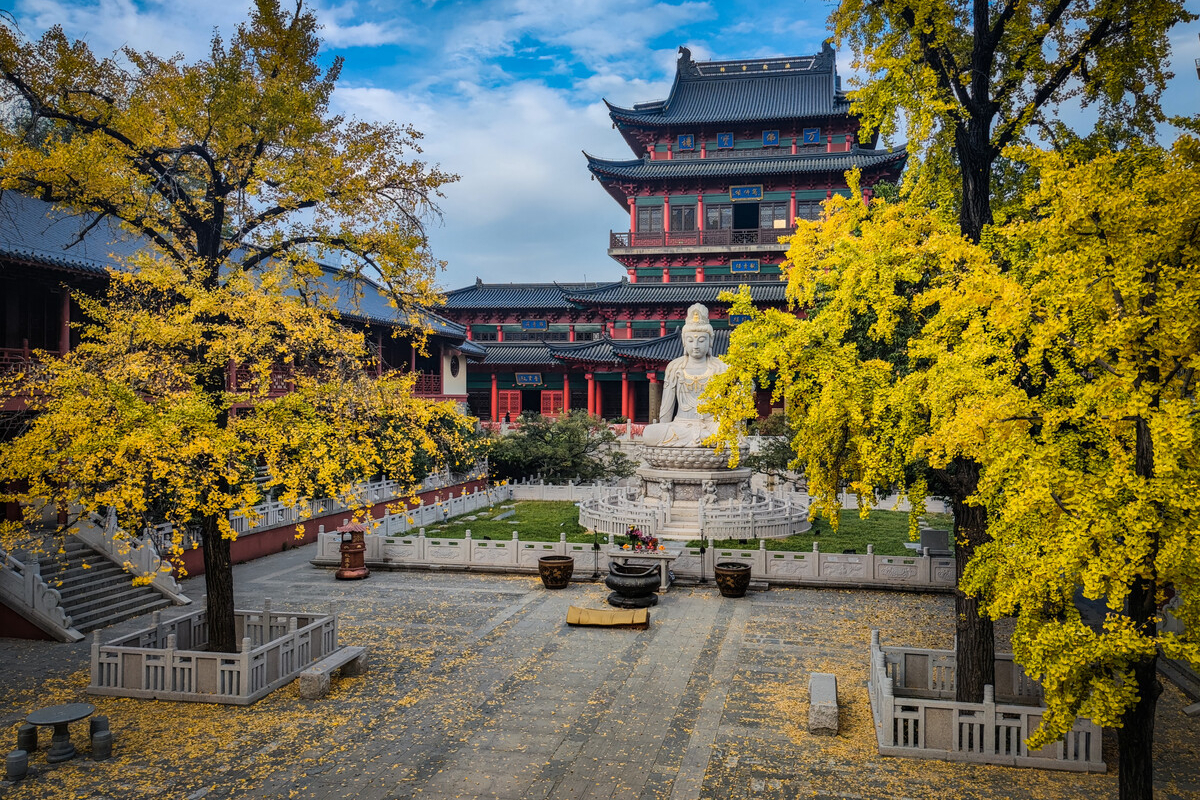 南京公园年卡2024年景点