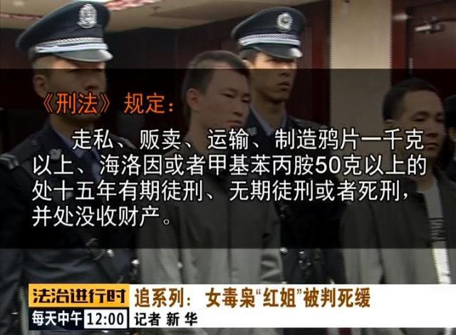 北大案要案侦破纪实:女毒枭
