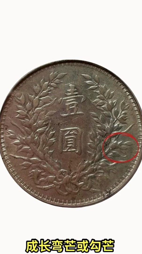 银元暗记的功能原来有这些大用处快来小哥带你了解