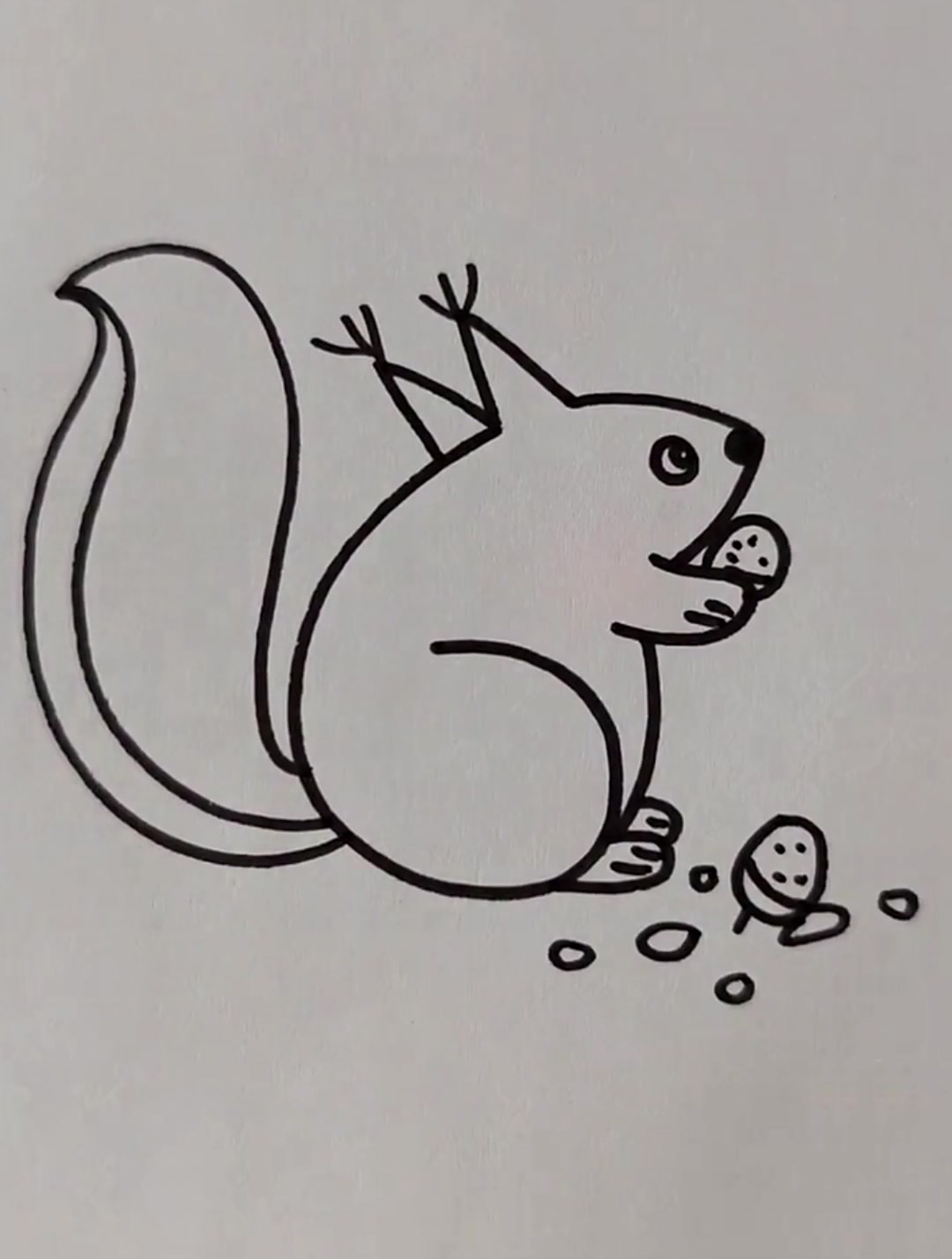 如何画小松鼠,画一只可爱松鼠在身边,萌翻整个空间-度小视