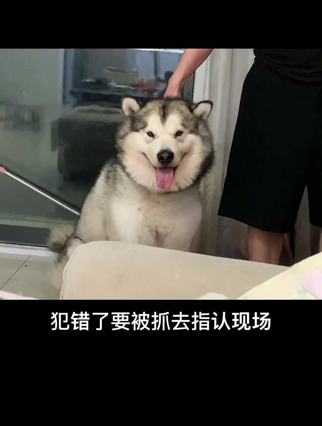 毛豆:为什么老是抓住一miemie错误就不放呀