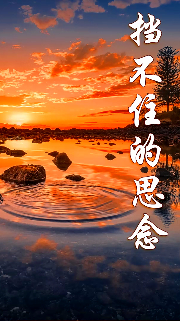 诉不尽的爱恋《挡不住的思念》,萨克斯流行歌曲,美妙悠扬动听!-度小视