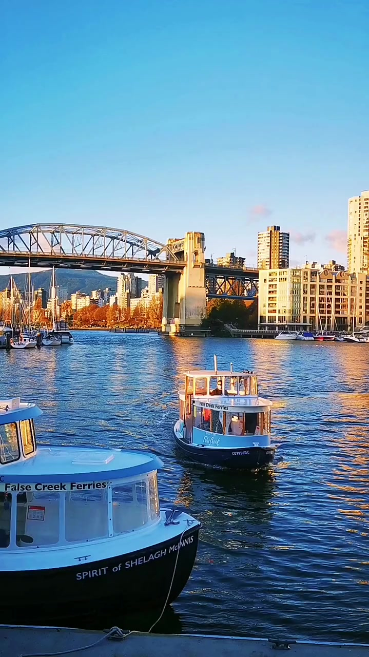 格兰维尔岛是一个充满活力的地方