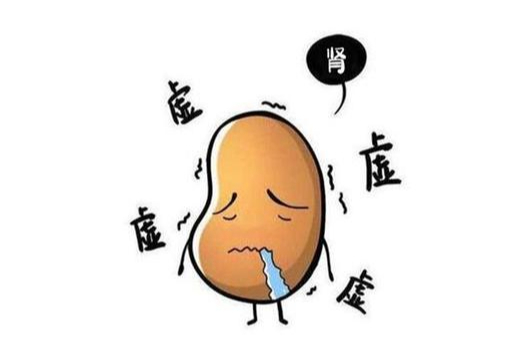 肾一虚,人就废一半,中医怎么调理各种肾虚?