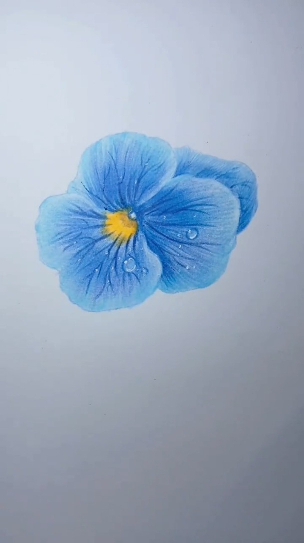 蓝色彩铅小花朵,送你一朵小蓝花