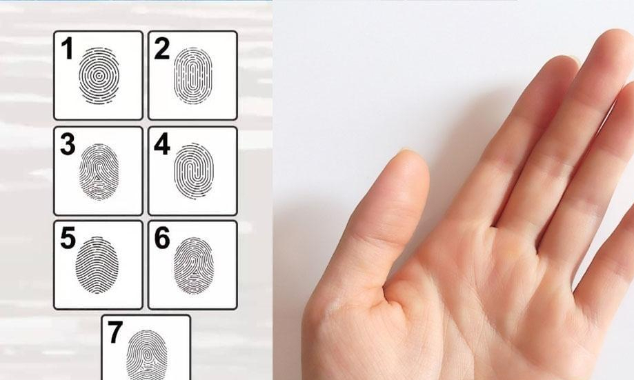 回顾人类指纹的斗和簸算真的是基因诅咒难道每个人未来早已注定