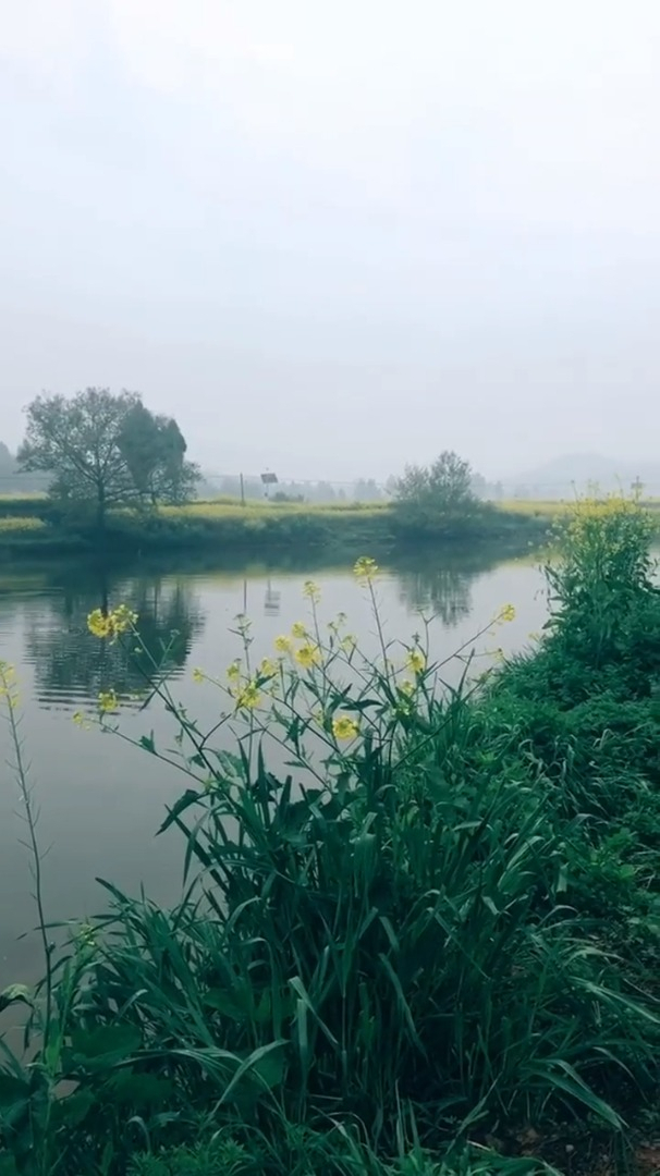 娱乐治愈风景乡间的晨宁静淡雅让人心旷神怡