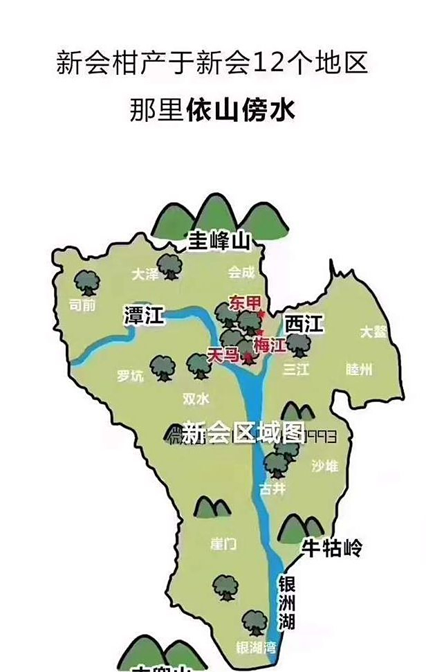 史上超全的新会陈皮各产区详细介绍,阿仁带你深度解析