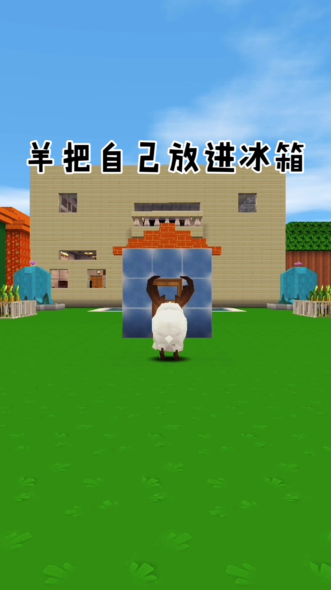 羊把自己放进冰箱