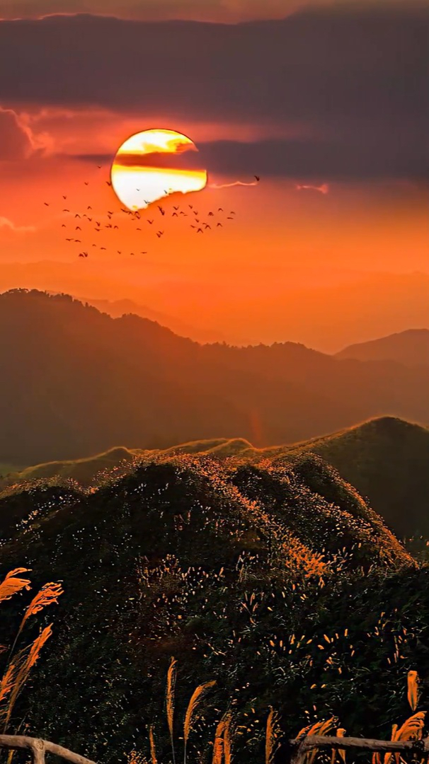 大自然风景:落日归山海,山海藏深意,深意却迟解