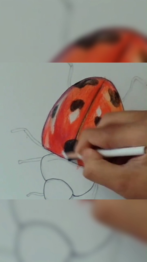 手绘彩铅笔画出来的七星瓢虫