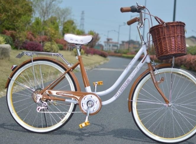 自行车有多少种种类