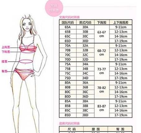 女人a到f罩杯大小示意图