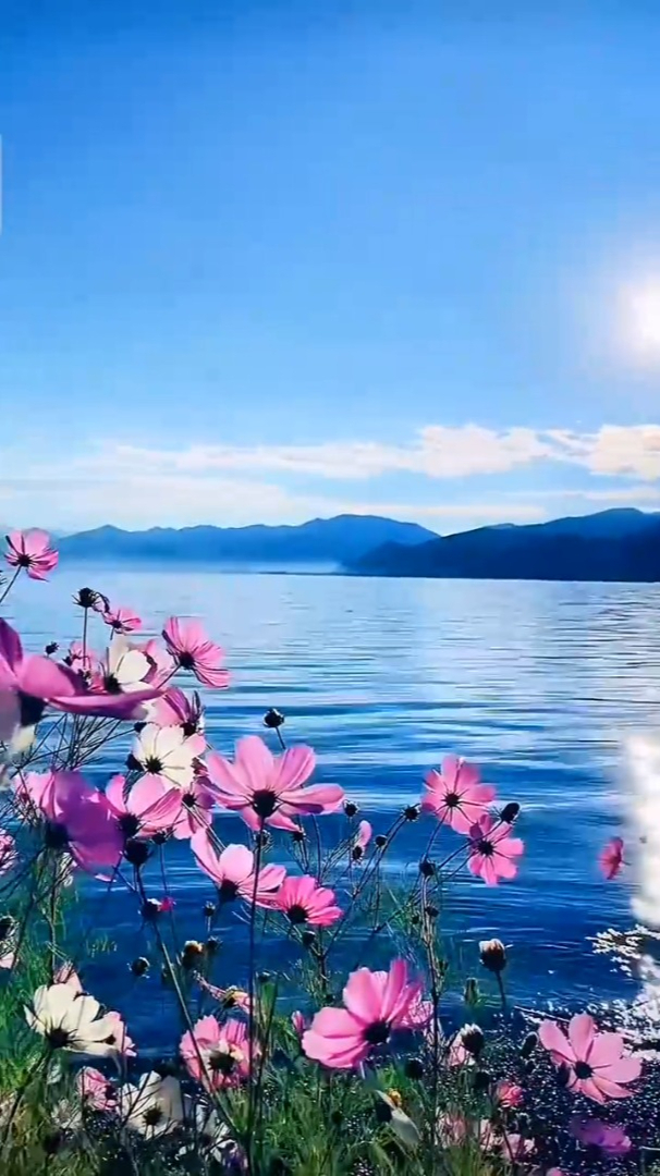 治愈风景:十一月你好,愿你安然无恙,愿你冬天不缺