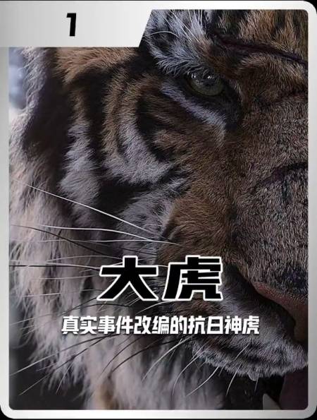 抗日神虎"山君",虎与兵的顶级对决-度小视