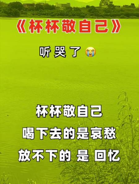 杯杯敬自己敬往事一杯酒歌词句句入心