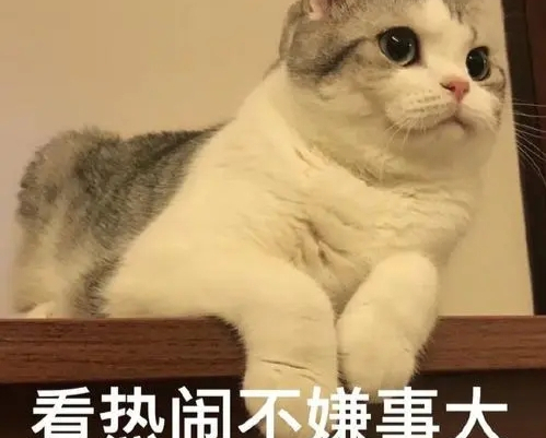 合理设置自媒体的禁区:从"马季下蛋"与胡某宇案件谈起