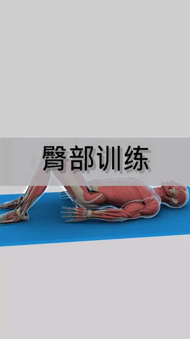 臀部训练方法臀桥的运动解剖随时随地广播操