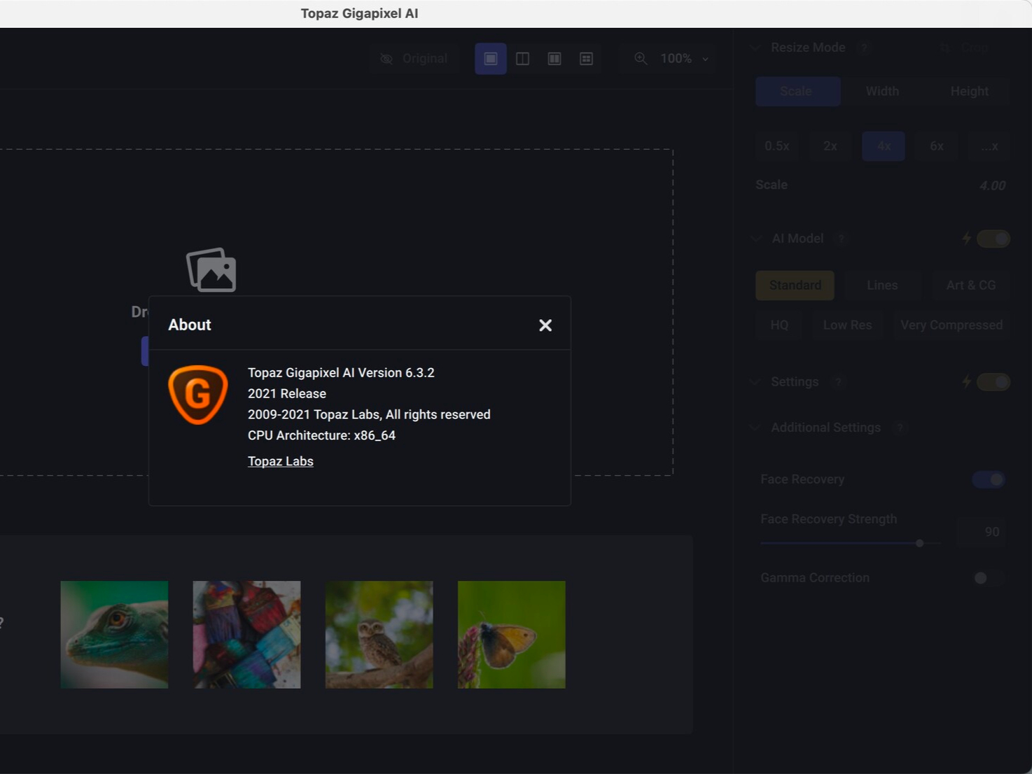 topaz gigapixel ai for mac(图片无损放大软件) v6.3.2中文版