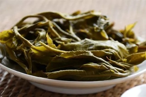 普洱茶的叶底如何看?