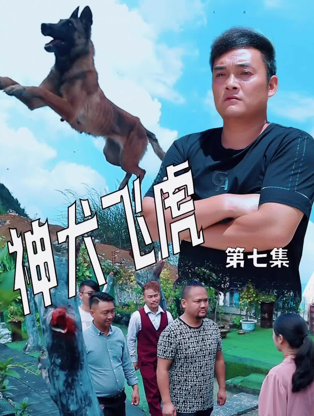 忠犬飞虎图片