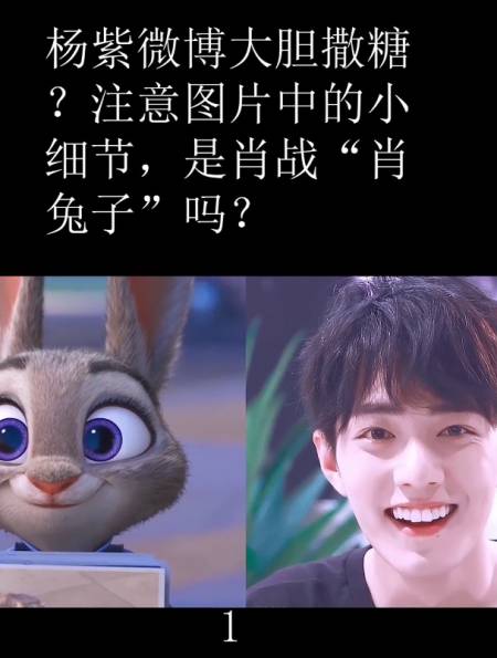 注意图片中的小细节,是肖战"肖兔子"吗?-度小视