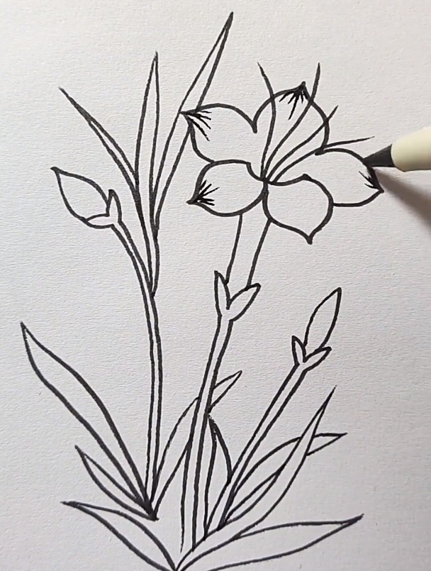 水仙花简笔画来啦,想学的收藏 简笔画-度小视