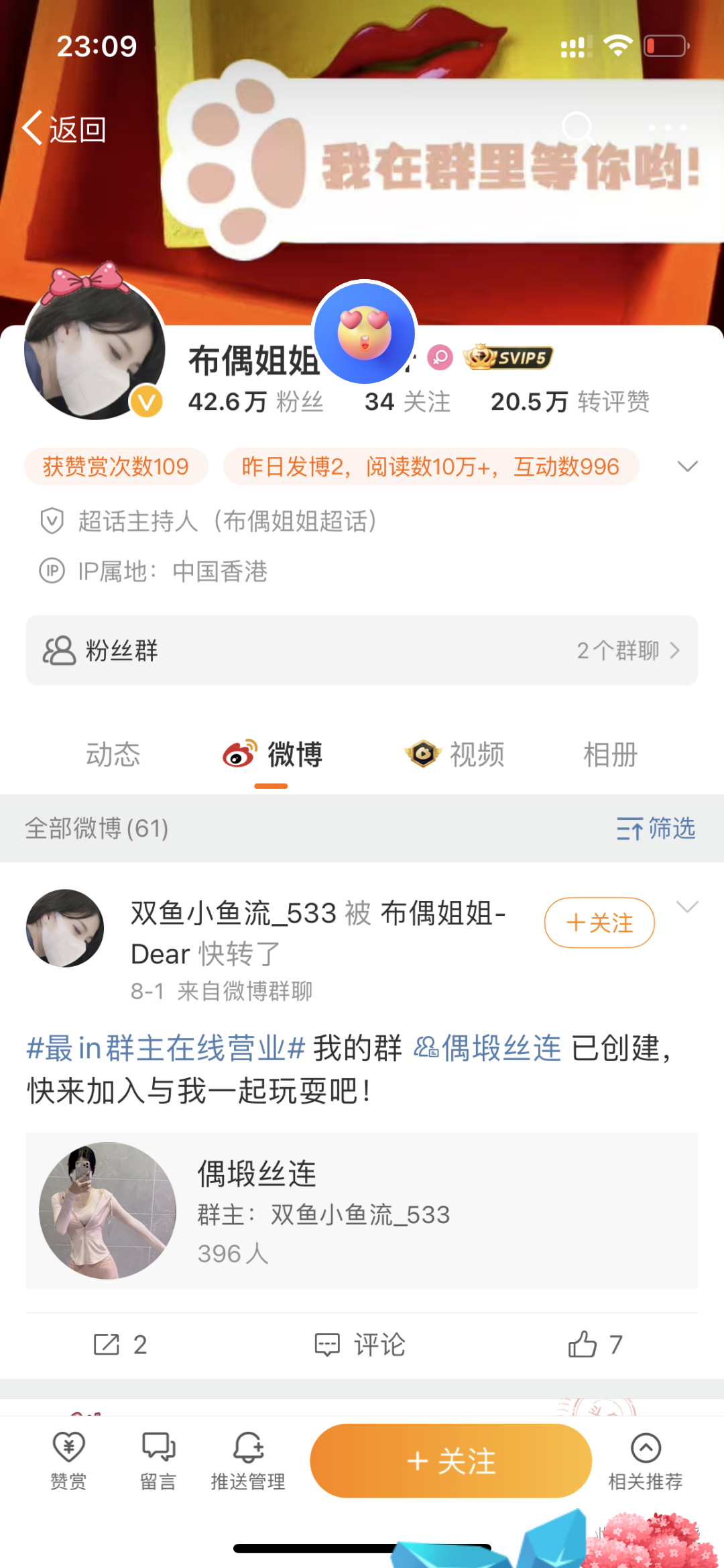 新来的布偶姐姐是yyds