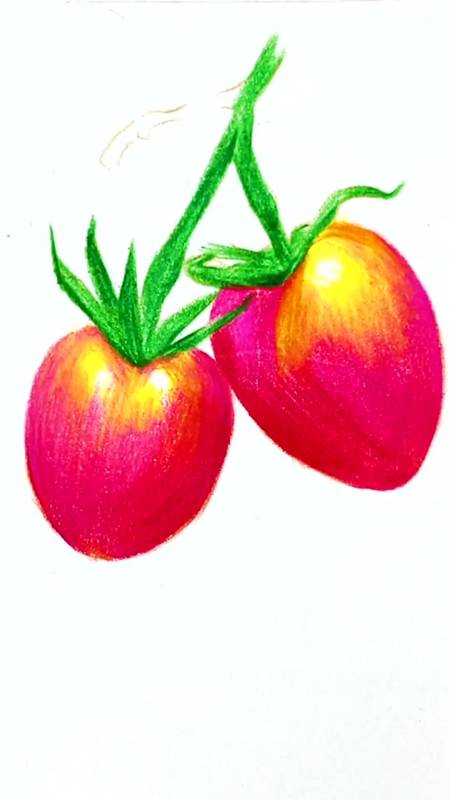 彩铅圣女果我最爱的水果之一