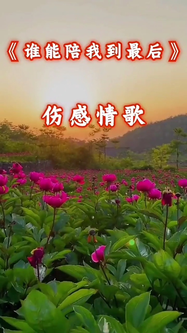 《谁能陪我到最后》伤感情歌