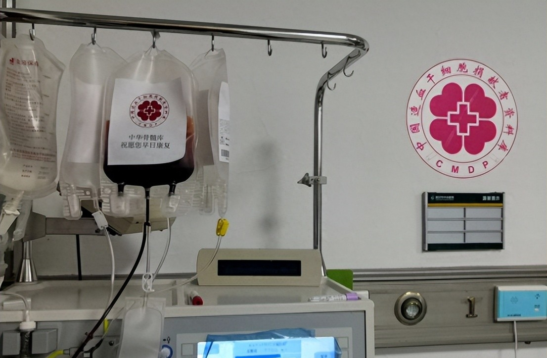 回顾11 年:云南女学生捐骨髓救人,患者康复后却这样说