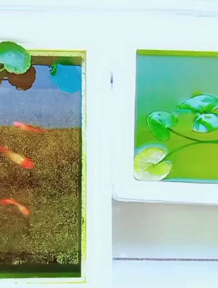 泡沫箱养鱼快速绿水图片